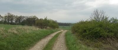 Rozdroże nad Piotrówkiem