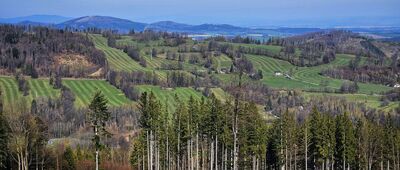 Štola Melchior ↔ Zlodějské louky, rozc