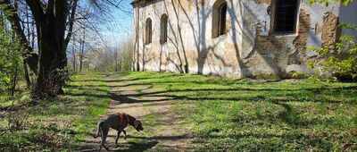 Biskupia Kopa, odejście szlaku niebieskiego ↔ Zlaté Hory, náměstí