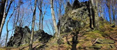 Biskupia Kopa, odejście szlaku niebieskiego ↔ Zlaté Hory, náměstí