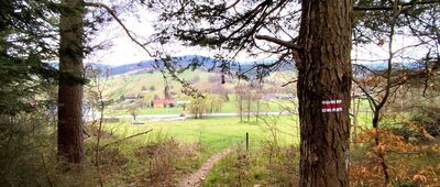 Zdynia ↔ Popowe Wierchy [Widok na Zdynię przy wyjściu z lasu]