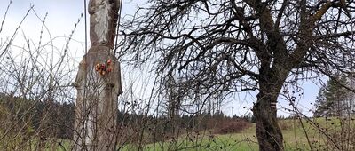 Krzywa [Kaplicza przydrożna w Krzywej]