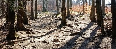 Jelenia Polana ↔ Mała Sowa [Podejście pod Małą Sowę]