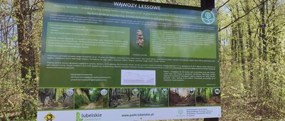 Kluczkowice, początek ścieżki przyrodniczej