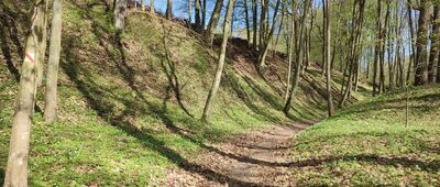 Rozejście ścieżek ↔ Rozejście ścieżek