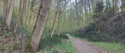 Rozejście ścieżek ↔ Rozejście ścieżek