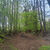 Grodzisko