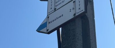 Gromnik