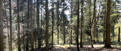 Siemiechów ↔ Wał