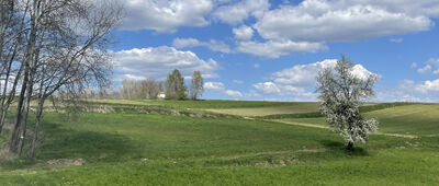 Brzozowa ↔ Siemiechów