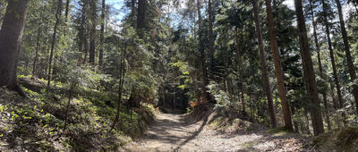 Brzozowa ↔ Sucha Góra, rozejście szlaków