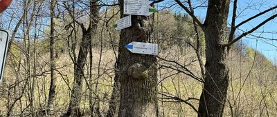 Rozdroże nad Lewinem Kłodzkim