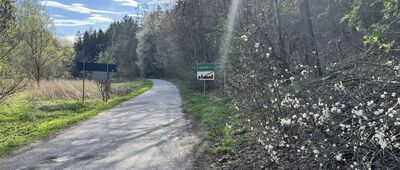 Dańczów, rozejście szlaków ↔ Pod Błoniem