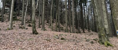 Honský špičák ↔ Rozejście szlaków