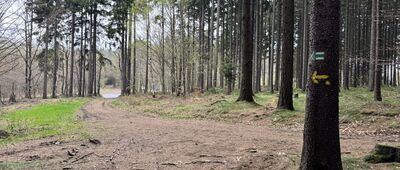 Honské sedlo ↔ Pod Strážnou horou