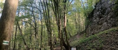 Kraków, Uroczysko Sikornik ↔ Kraków, Salwator [Strzelnica]