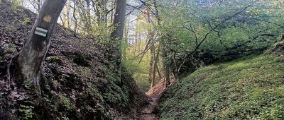 Las Wolski, Baba Jaga ↔ Kraków, Uroczysko Sikornik [Poniedziałkowy Dół]