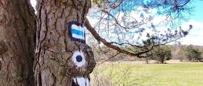 Przełęcz pod Dębim Wierchem [Oznaczenie szlaku]