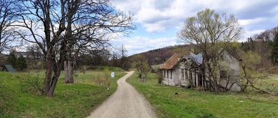 Radocyna ↔ Przełęcz pod Dębim Wierchem [Stara szkoła w Radocynie]