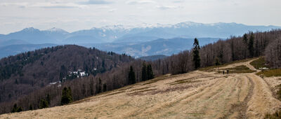 Wielka Racza, granica ↔ Pod Małą Raczą