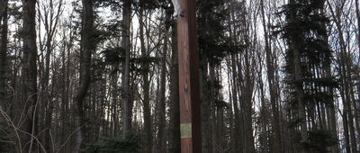 Myślenice, ul. Zamkowa ↔ Pod Uklejną [34,7km - Okolice szczytu Uklejna]