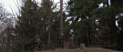 Śnieżnica [59,6km - Śnieżnica]