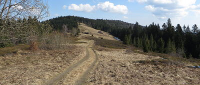 Polana Podskały ↔ Gorc Troszacki [89,4km - Droga na Gorc Troszacki]