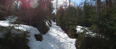 Hala Turbacz ↔ Przełęcz Borek [94,9km - Okolice szczytu Przysłopek]