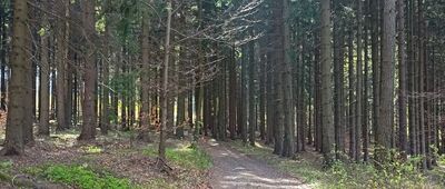 Rozejście szlaków ↔ Rozejście szlaków