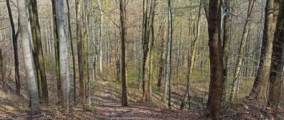 Rozejście szlaków ↔ Skrzyżowanie szlaków zielony / czarny