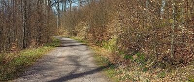 Chełmiec, stacja XIV ↔ Chełmiec Mały, stacja X