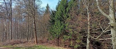 Chełmiec Mały, stacja X