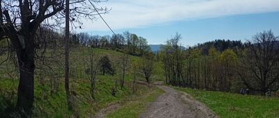Rosochatka ↔ Rozejście szlaków