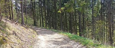 Pod Boreczną ↔ Rozejście szlaków