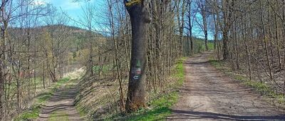 Boguszów-Gorce, ul. Łączna