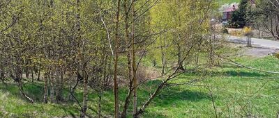 Boguszów-Gorce, ul. Łączna ↔ Boguszów-Gorce, ul. Hugona Kołłątaja