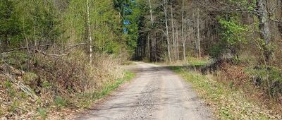 Boguszów-Gorce, ul. Hugona Kołłątaja ↔ Rozejście szlaków