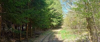Lubomin ↔ Rozejście szlaków