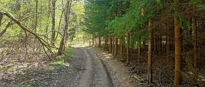 Lubomin ↔ Rozejście szlaków