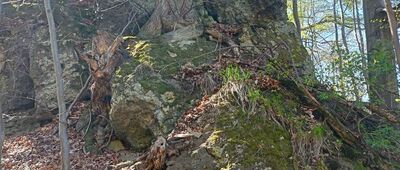 Lubomin ↔ Skrzyżowanie szlaków żółty / czarny