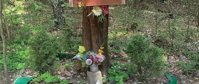 Przełęcz pod Obrazikiem