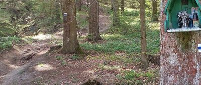 Biesak ↔ Przełęcz pod Obrazikiem