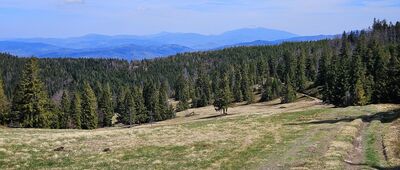 Magurka Radziechowska ↔ Hala Radziechowska