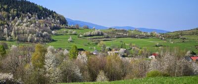 Radziechowy ↔ Hala Radziechowska