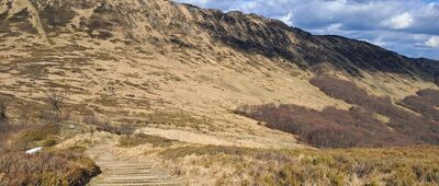 Przełęcz pod Tarnicą ↔ Wiata przy przełęczy Goprowskiej