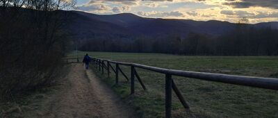 Wołosate ↔ Przełęcz pod Tarnicą