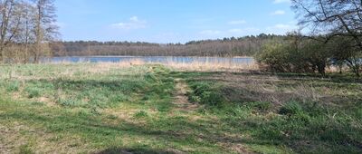 Tama Brodzka ↔ Brodnica, ul. Świerkowa