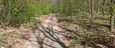 Tama Brodzka ↔ Brodnica, ul. Świerkowa