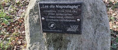 Bachotek, wiata