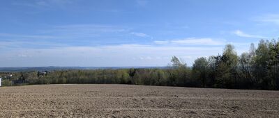 Rozejście szlaków ↔ Patryja